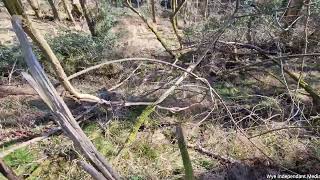 Another derelict house on the south side of Coppet Hill!
Today we take a look at another derelict house on the south side of Coppet Hill, Wye Valley! How many more will we find? Another derelict house on the south side of Coppet Hill!