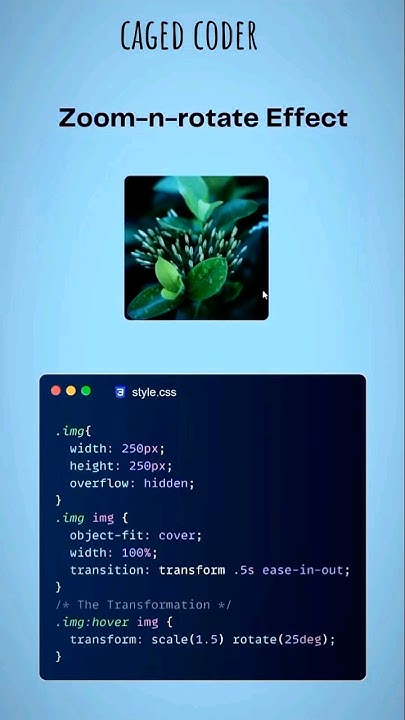 zoom and rotate effect using css #webdevelopment #html #css #htmlcss # ...