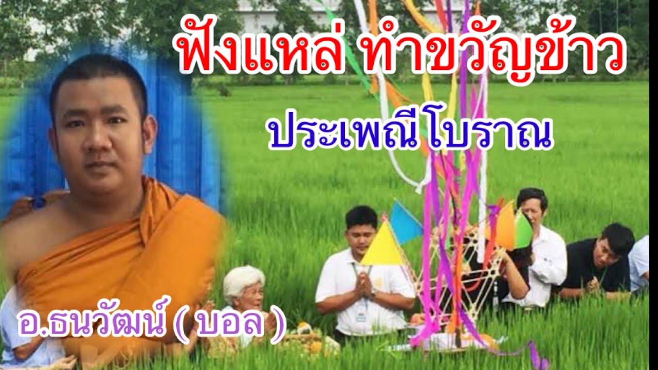 พระธนวัฒน์  ทำขวัญข้าว  ที่วัดปลักแรด