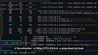 Install Use Feroxbuster to Find Hidden Web Directories Fast