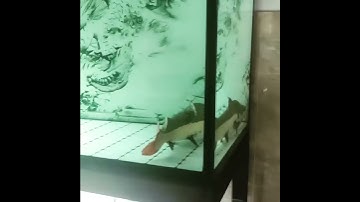 thủy quái sông Amazon