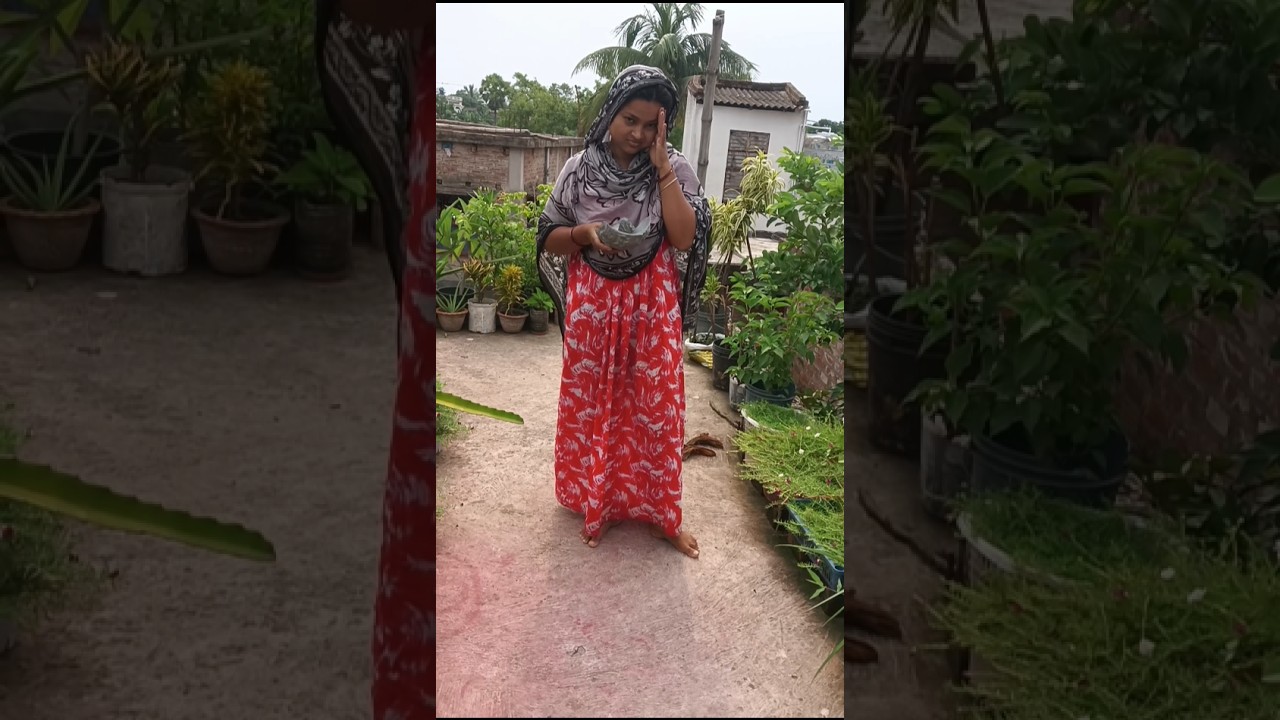 ভাইরাল টবটা মেয়ে ভেঙে দিলো😲#youtubeshorts #shortvideo #gardening #shorts