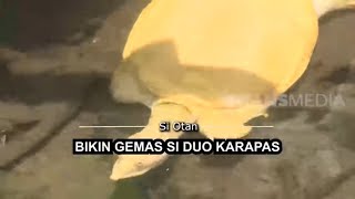 [FULL] Bikin Gemas Si Duo Karapas | SI OTAN (11/06/20)