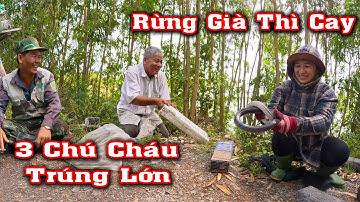 3 Chú Cháu Gặp Lại Sau Vài Tháng Và Cuộc Hành Trình Săn RẮN Lớn # CSBR # 429