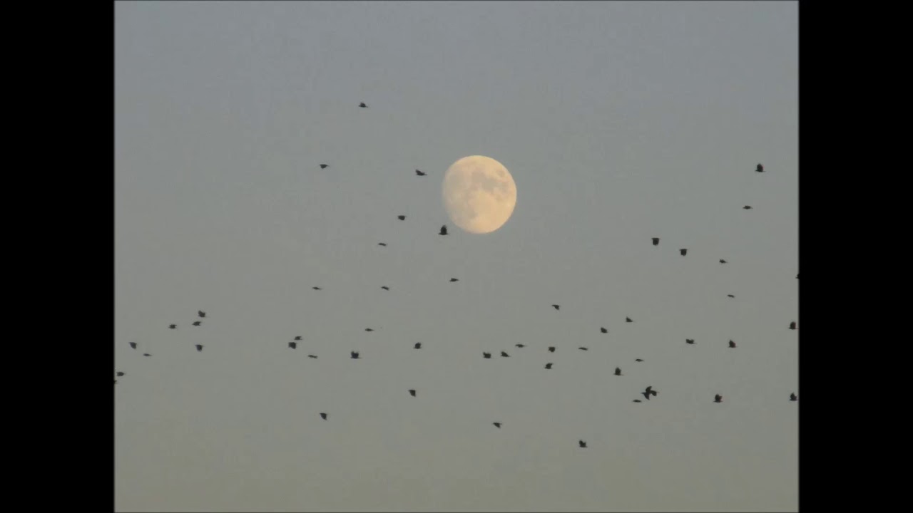 I'll Be There With You