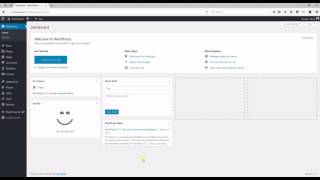 01 Install theme + import content