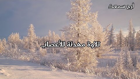 تلاوة هادئة تريح الاعصاب 💚سورة مريم💚 بصوت جميل جدا ||  ارح سمعك وقلبك Surah Maryam
