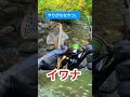 【渓流釣り】やりがちなやつ。 #釣り