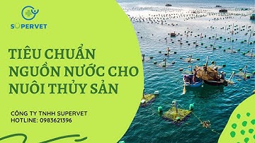 Tiêu chuẩn nguồn nước để có thể nuôi thủy sản - Chuyên gia Supervet