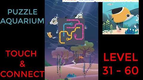 Puzzle Aquarium | Touch & Connect Level 31 - 60 | Walkthrough