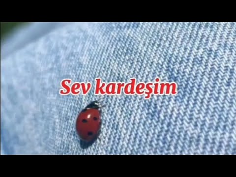 Sev kardeşim Lyrics