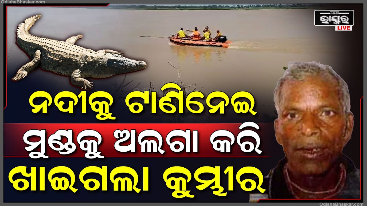 ପୁଣି ଆତଙ୍କ ରଚିଲା କୁମ୍ଭୀର ! ବୃଦ୍ଧଙ୍କୁ ଟାଣିନେଇ ଏମିତି କଲା କୁମ୍ଭୀର ..ଲୋକ କେବଳ ଚାହିଁରହିଲେ