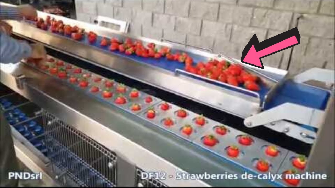 Food Industry Machines That Are At Another Level Kitchens YouTube