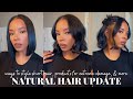 NATURAL HAIR UPDATE: short hair routine, ways to style short hair, reversing damaged/thinning hair