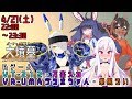 バーチャル大墳墓<ピラミッド> チームB ニーツ視点