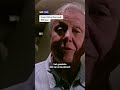 David Attenborough 100 jaar