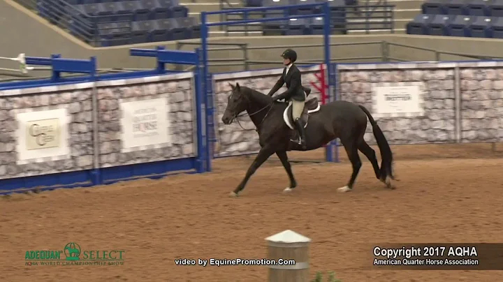 2017 AQHA Select Jumping and Equitation Over Fences