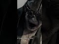 RESIDENT EVIL REQUIEM - LA ALUCINADA ESCENA DE LAS MOTOS #shorts #residentevil #zeno