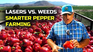 How Laser Weeding Boosts Pepper Profits at Rio Farms
See how Rio Farms is using LaserWeeder G2 from Carbon Robotics to optimize the way conventional peppers and celery are grown. General Manager Danny Pereira shares how this AI-powered technology cuts weeding costs, reduces labor and herbicides, and improves crop profitability and quality.
Explore LaserWeeder G2: https://carbonrobotics.com/laserweeder-g2 How Laser Weeding Boosts Pepper Profits at Rio Farms
