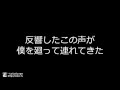 アンサー/れーな