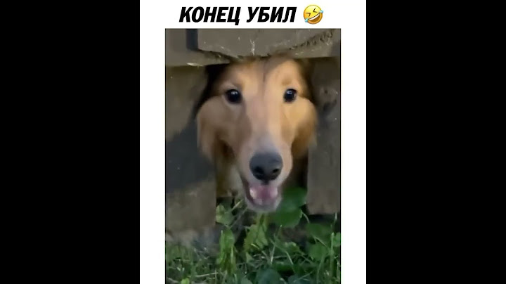 Вы видели, как она ворвалась в кадр? 🤣