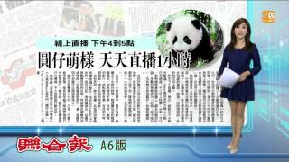 【2013.11.02】圓仔可愛模樣 每天直播一小時 -udn tv