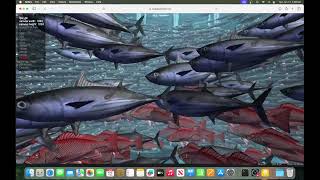 Safari 18.1 [Apple Mac] (2024) Apple {Mac mini M4 Pro 24 GB} screenshot 4