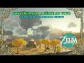 HOJE SAÍMOS DA ILHA – SÉRIE AO VIVO #2 (Zelda TOTK Switch 2) - !comandos