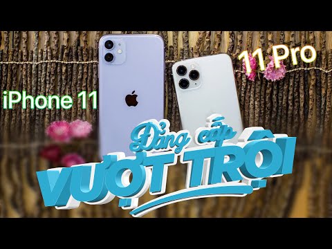 SO SÁNH IPHONE 11 VÀ IPHONE 11 PRO: ĐÔI ĐŨA LỆCH CỦA APPLE !