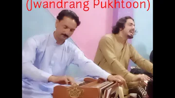 Qazi ta wowaya ta da pejani