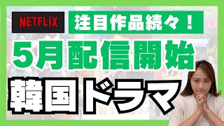 【Netflix】5月の新作韓国ドラマがやばすぎた！✨