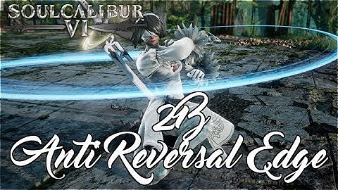2B - Anti Reversal Edge Guide