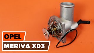 Kaip pakeisti Thermostat OPEL MERIVA - vaizdo vadovas