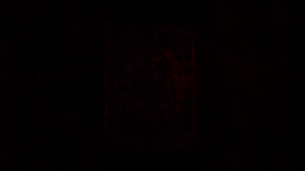 Bikini mood! #fashion #shorts #ootd #bikini #summerfashion #summerinspo #summeroutfits