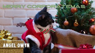 Merry Corporatemas