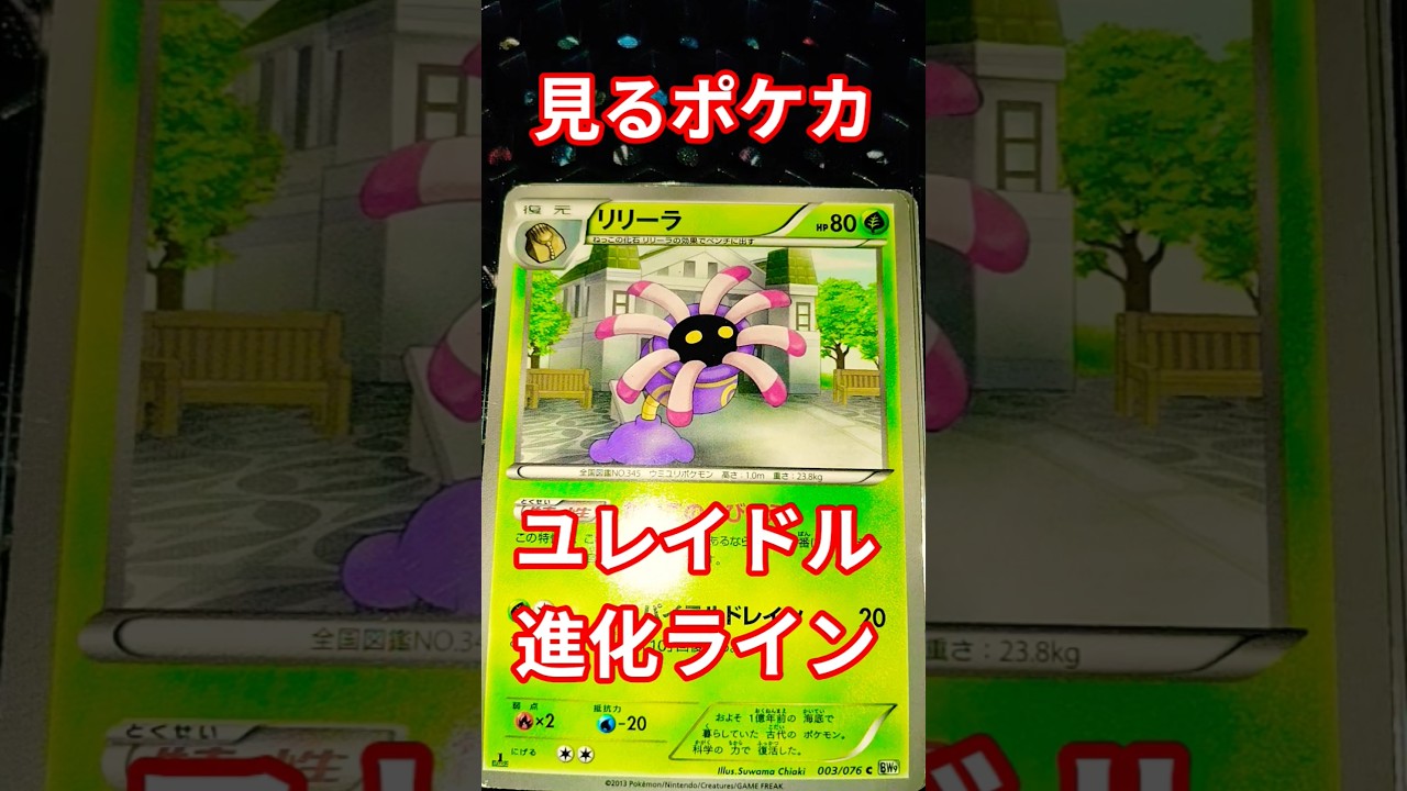 見るポケカユレイドル進化ライン #ポケモンカード #ポケモンカード #ポケカ再販最新情報 #pokemon#pokemoncards #見るポケカ