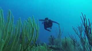 Nicks Scuba Experiment