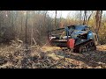 Forestry Mulching and Storm Cleanup