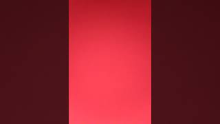 Chynas Mama Made Her Dog Chase My Brother. Stay Tuned Cause Baby D Dont Play That