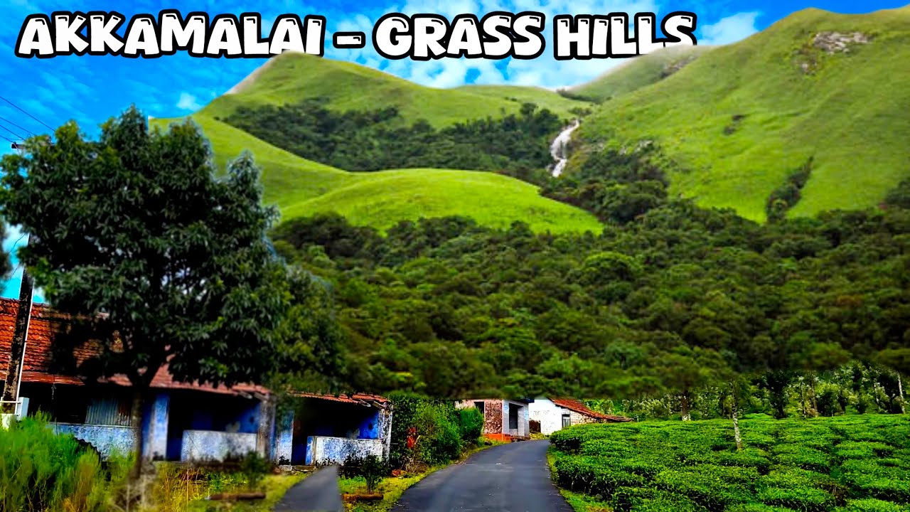 அக்காமலை புல்மேடு வால்பாறை – Grass Hills Valparai! 