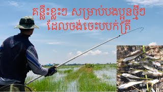 គន្លឹះបបក់ត្រីល្អៗ សម្រាប់បងប្អូនថ្មីៗ ដែលចង់រៀនលេង