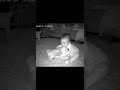 Baby Barks at Puppy… Puppy Barks Back &amp; Baby Laughs Cutest Reaction 🐶❤️| CCTV Night Footage #shorts