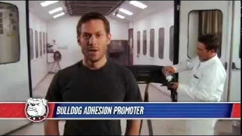 Bulldog Adhesion Promoter Training