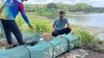 Câu Đài Thiên Nhiên | Câu Cá bằng mồi bột tôm tại hồ Xà Bang - Bà Rịa - Vũng Tàu