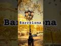 #barcelona #spain #travel #architecture #barcelonaspain #spanishcity #sagradafamilia #gaudi