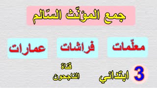 جمع المؤنث السالم للسنة الثالثة ابتدائي