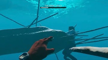 Epic Stranded Deep Moray Eel Boss Battle