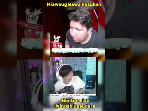 Channel Windah Basudara Di kudeta Miawaug #shorts #miawaug #windahbasudara