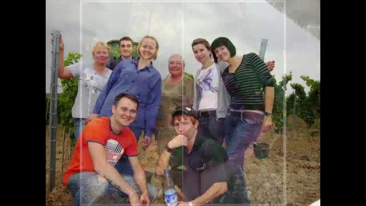 Onlineweinprobe 24.01.2026