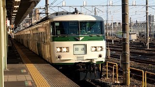 2019/01/13 JR East: 185 Series C4+A3 Set at Oku